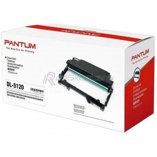 Pantum DL-5120 / DL-5120P фото 5467