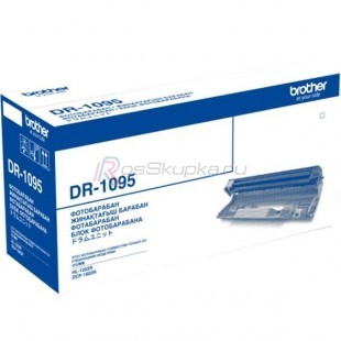 Brother DR-1095 фото 4712