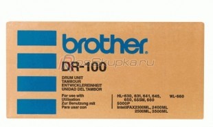 Brother DR-100 фото 802